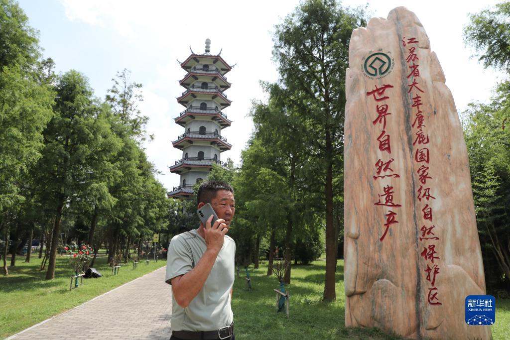 新世纪网域名